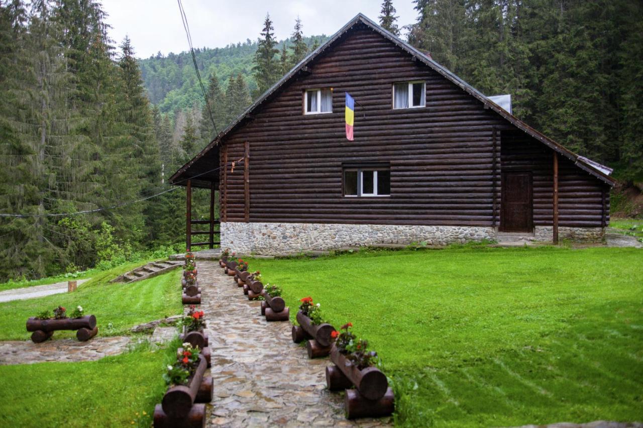 Cabana Patru Brazi Stana de Vale Exteriör bild
