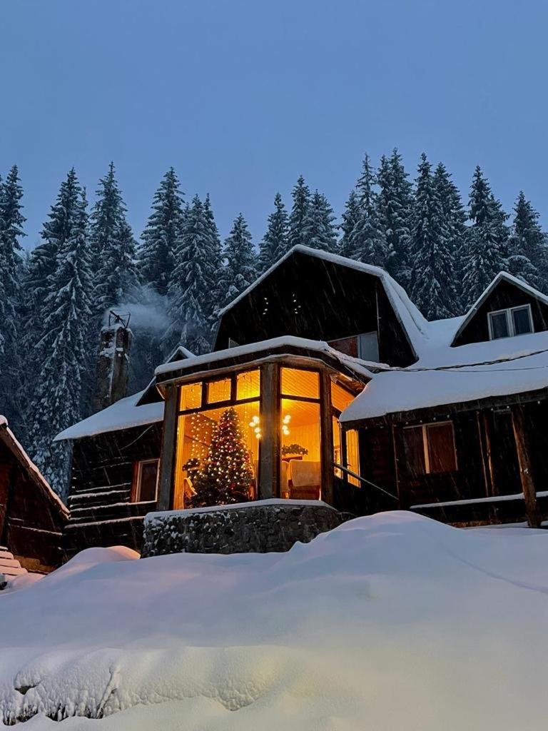 Cabana Patru Brazi Stana de Vale Exteriör bild