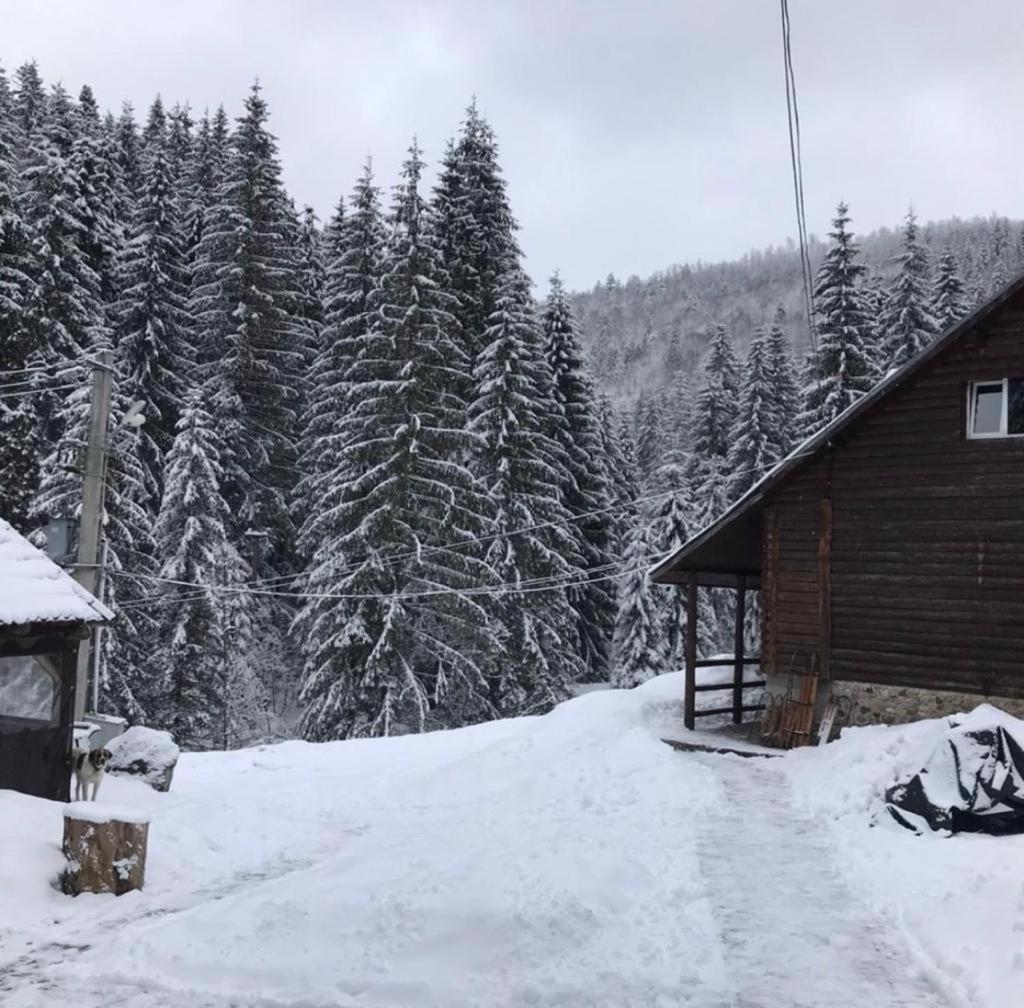 Cabana Patru Brazi Stana de Vale Exteriör bild