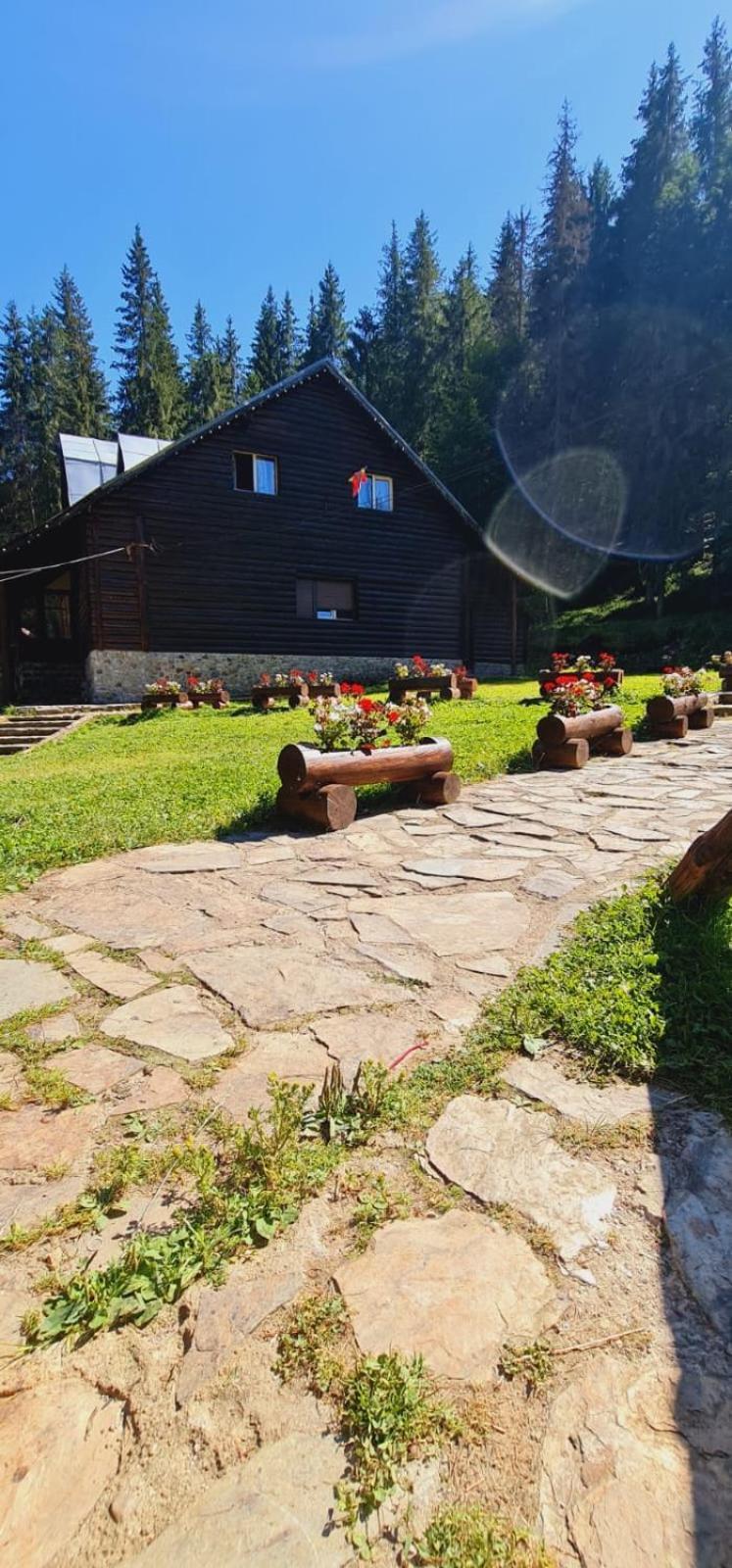 Cabana Patru Brazi Stana de Vale Exteriör bild