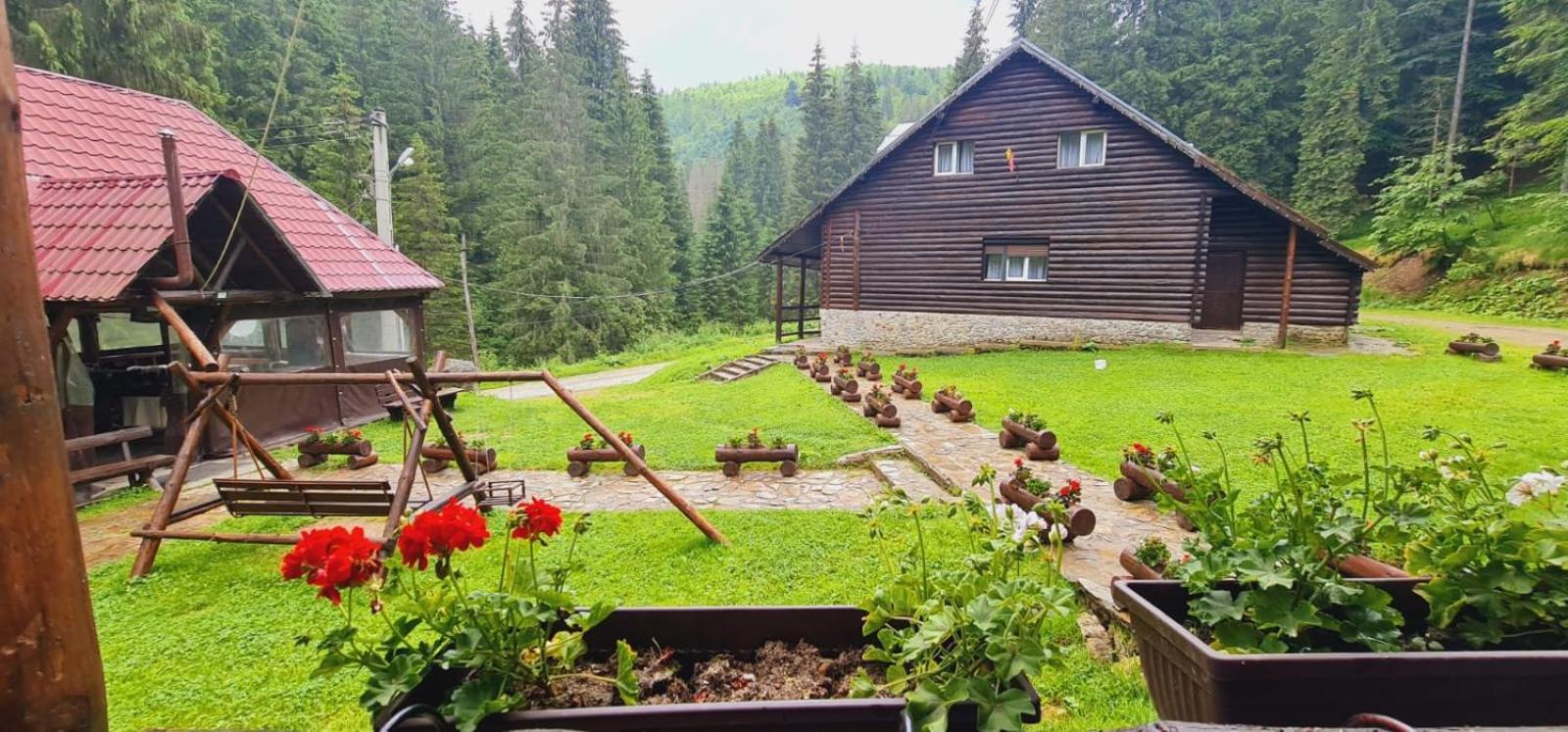 Cabana Patru Brazi Stana de Vale Exteriör bild
