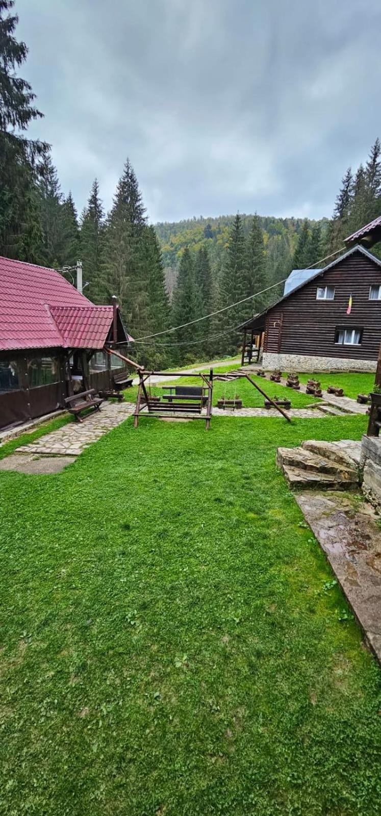Cabana Patru Brazi Stana de Vale Exteriör bild