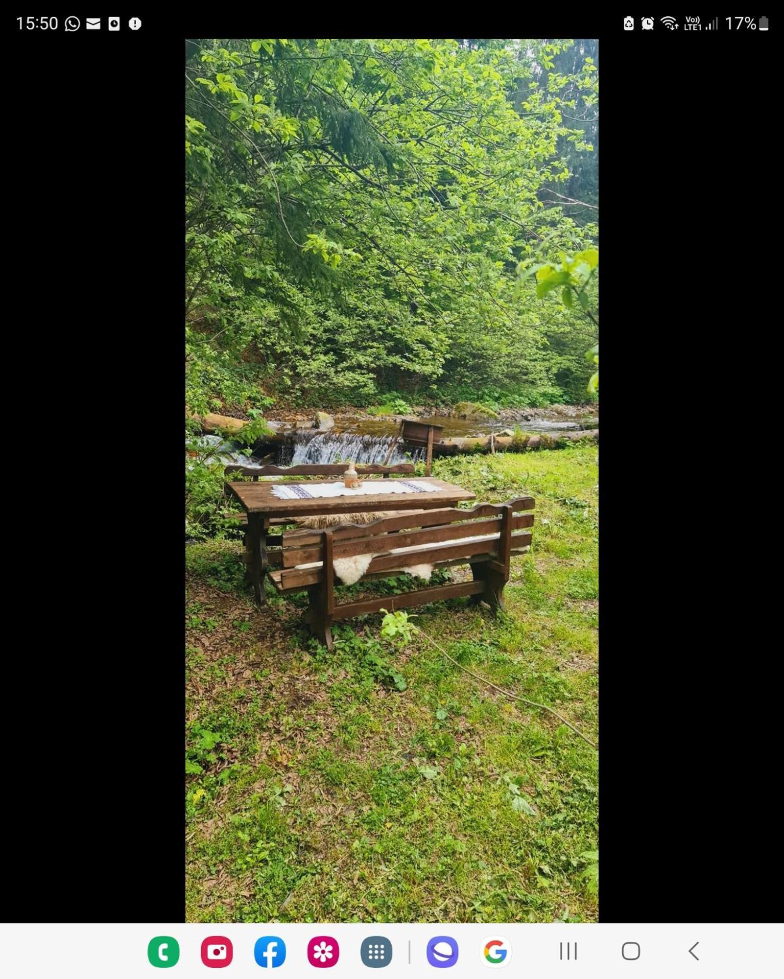 Cabana Patru Brazi Stana de Vale Exteriör bild