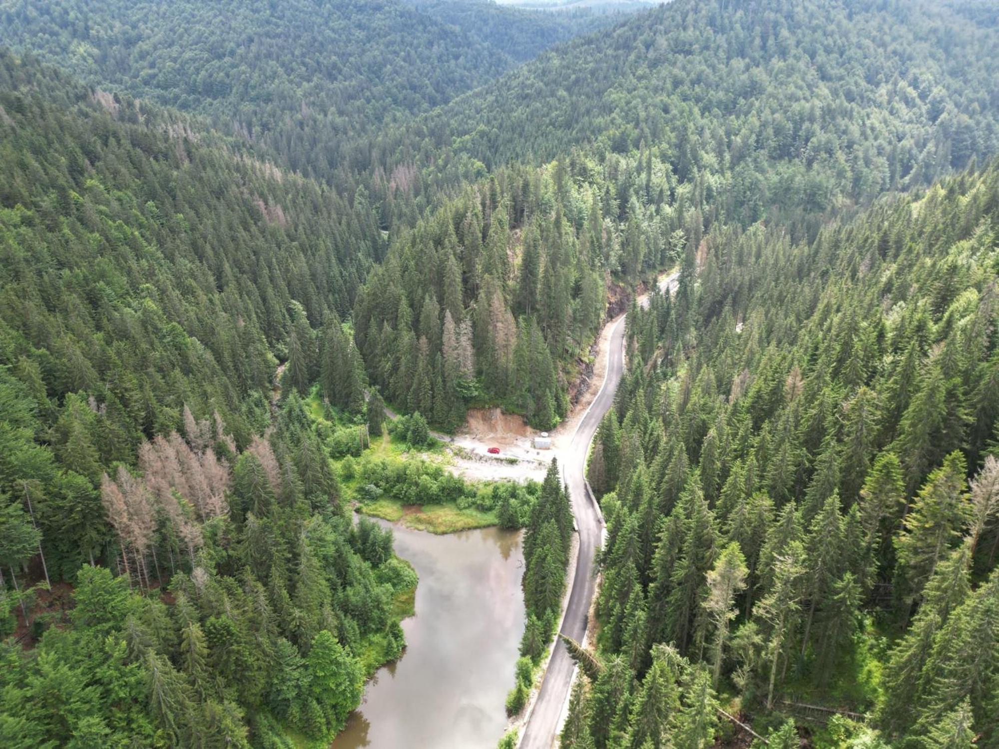 Cabana Patru Brazi Stana de Vale Exteriör bild
